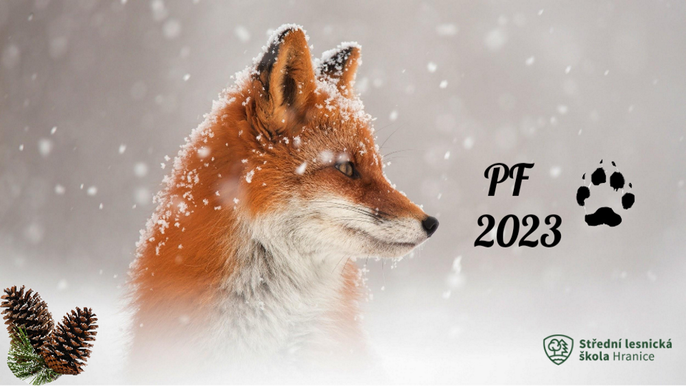 Featured image for “PF 2023”