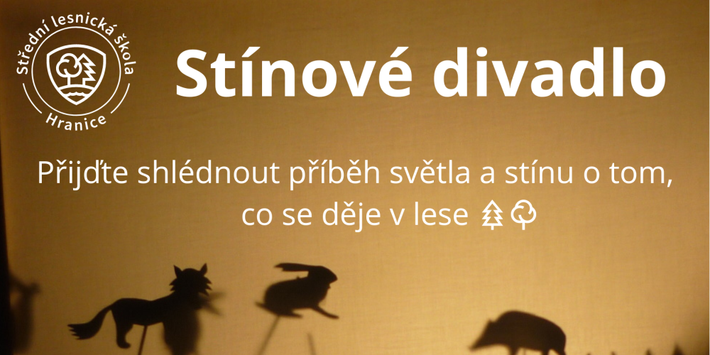 Featured image for “Pozvánka na stínové divadlo”