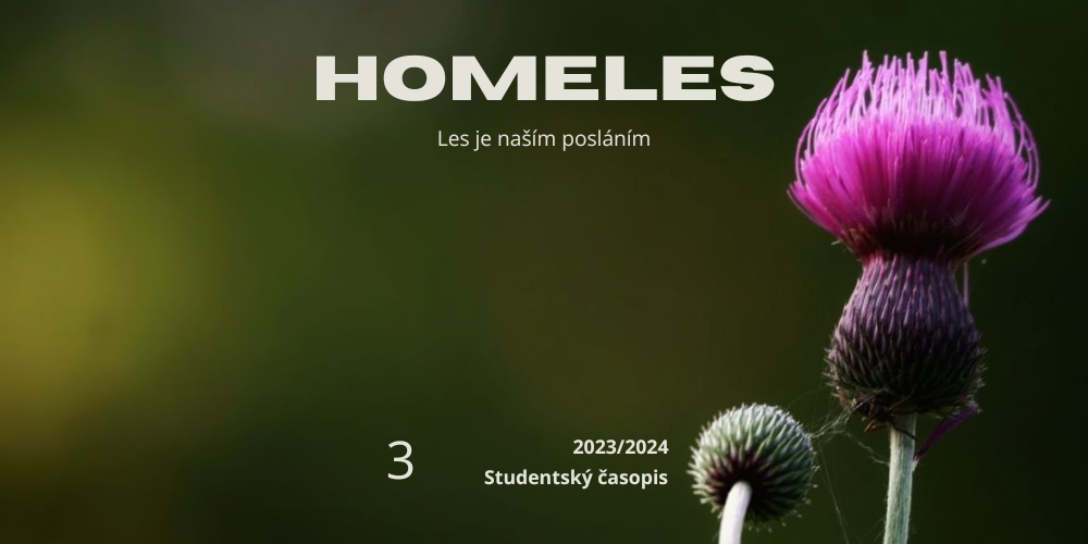 Featured image for “Homeles 3, roč. 2023/2024”